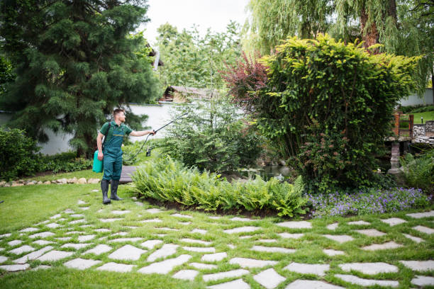 Wasp Removal Services in Atlantic Highlands, NJ
