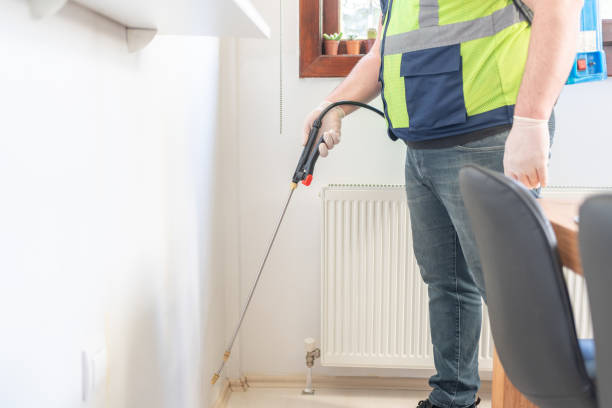 Best Termite Control Services  in Atlantic Highlands, NJ