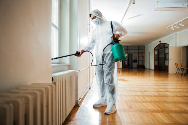 Best Insect Control  in Atlantic Highlands, NJ
